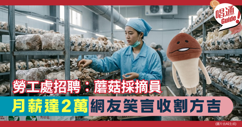【職場熱話】勞工處招聘︰元朗冷氣房「蘑菇採摘員」月薪達2萬！網友笑稱：這是現實版《菇菇栽培研究室》？